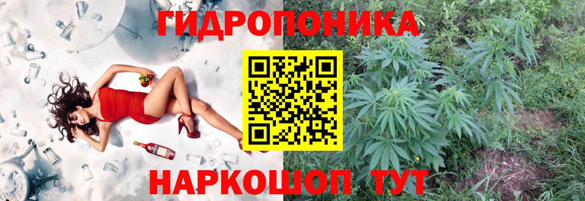 Бошки марихуана Amnesia Лянтор